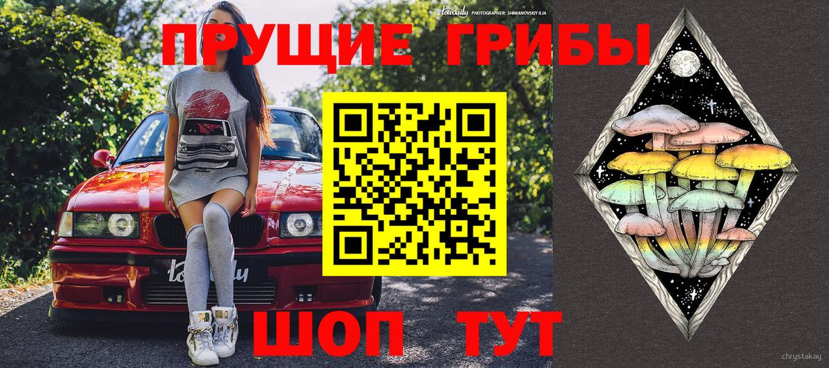 Ярославль  Псилоцибиновые грибы мухоморы  закладка  Вход с VPN 